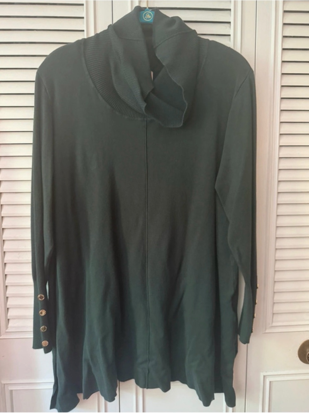 Anne Klein Long Sleeve Green Cowl Neck Women's Sweater